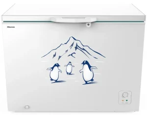 Tủ Đông Hisense Inverter 300 Lít FC380D4EWC1